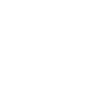 demo button icon